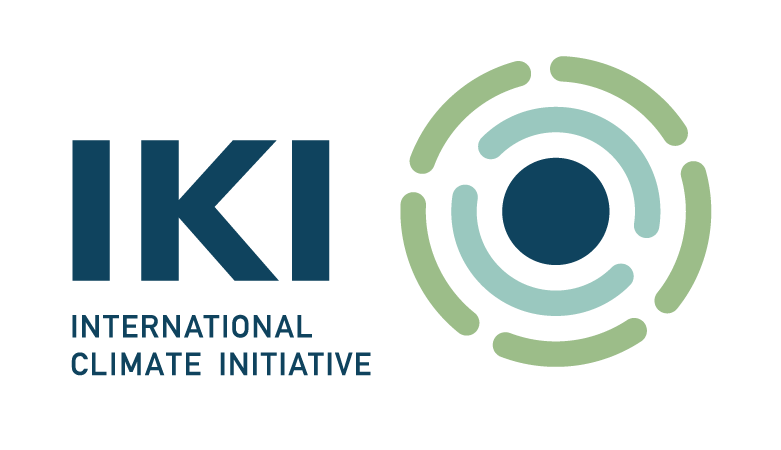 IKI Logo